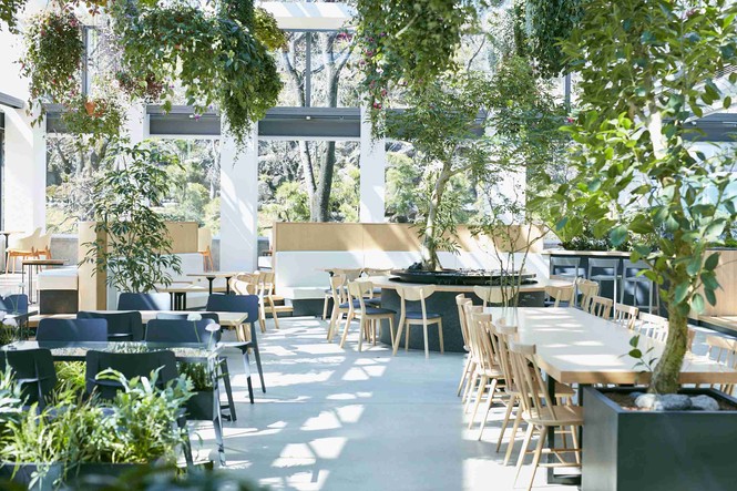 Bên trong cửa hàng Starbucks nhà kính ngàn hoa “đốn tim” các tín đồ sống ảo ở Nhật Bản - ảnh 8