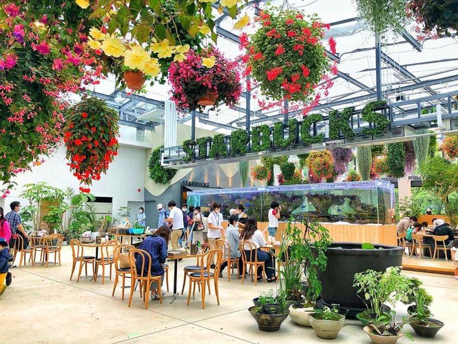 Bên trong cửa hàng Starbucks nhà kính ngàn hoa “đốn tim” các tín đồ sống ảo ở Nhật Bản - ảnh 3