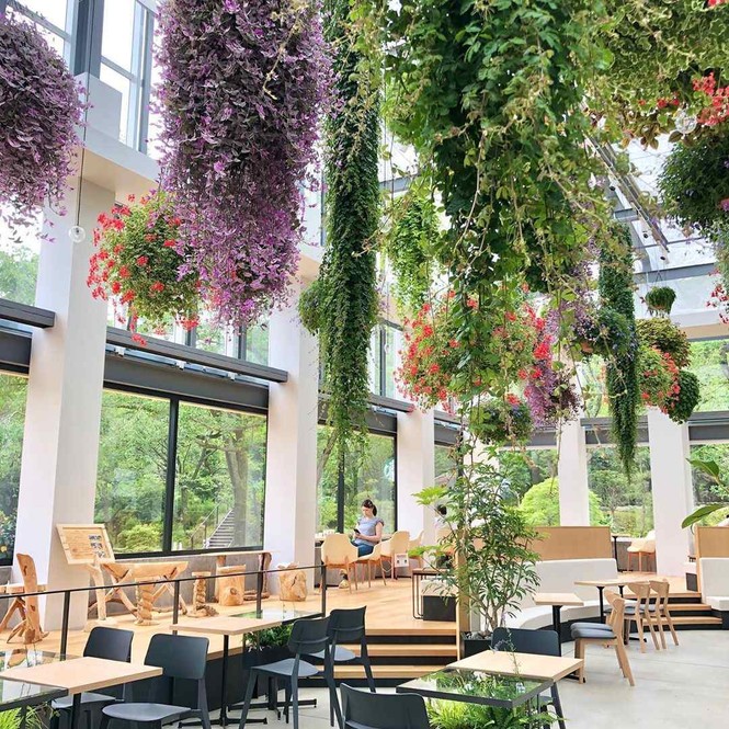 Bên trong cửa hàng Starbucks nhà kính ngàn hoa “đốn tim” các tín đồ sống ảo ở Nhật Bản - ảnh 6