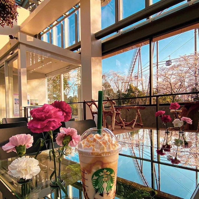 Bên trong cửa hàng Starbucks nhà kính ngàn hoa “đốn tim” các tín đồ sống ảo ở Nhật Bản - ảnh 10