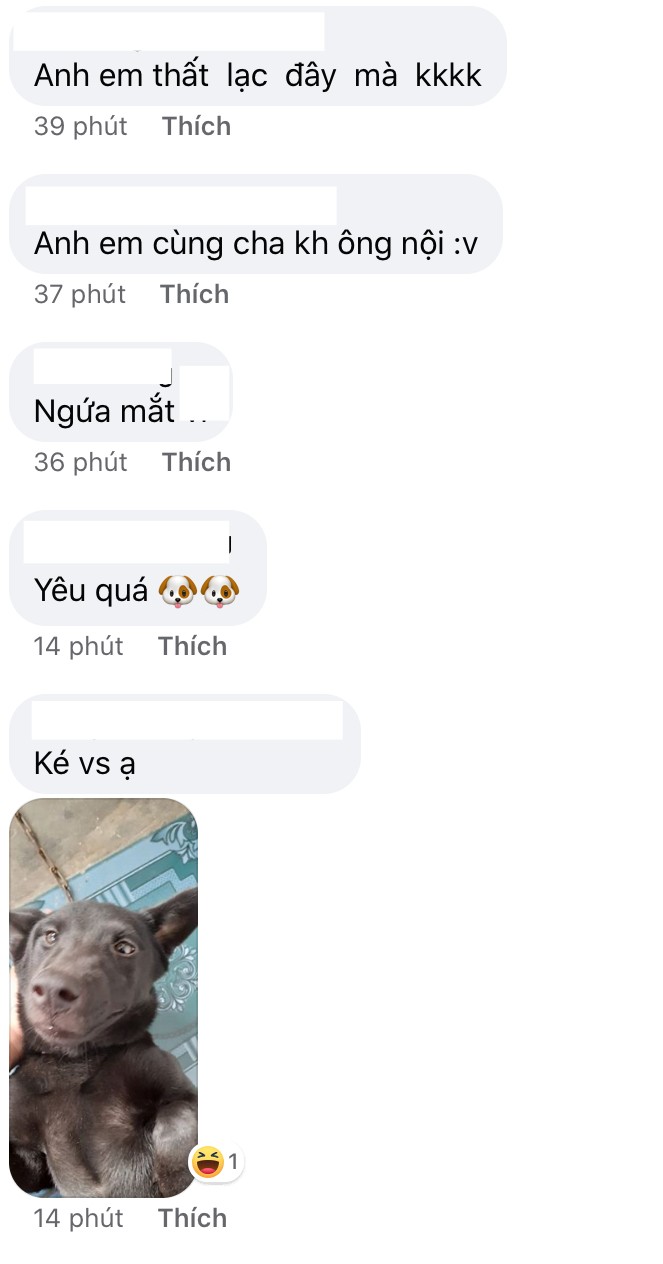 Tìm ra