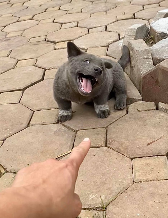 Tìm ra
