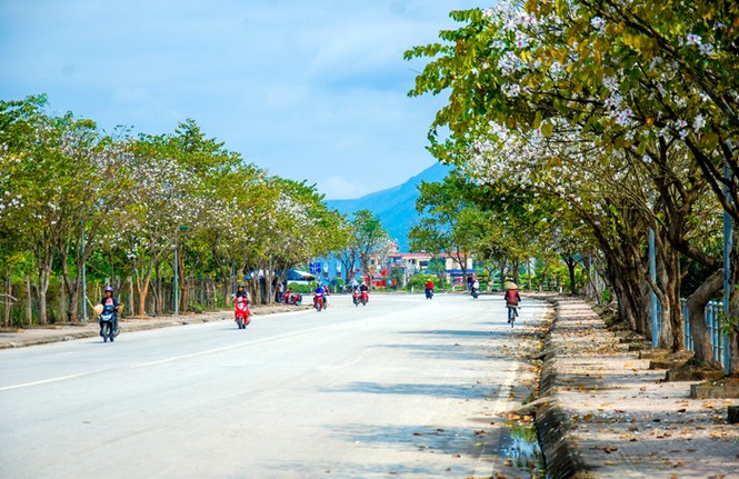 Du lịch Điện Biên: Tháng Ba rồi, đi và ngắm hoa ban ngay thôi! - ảnh 1