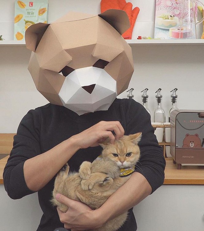 YouTuber giấu mặt, chỉ lộ tay vẫn hàng hút triệu sub vì tài nấu ăn ngon, yêu động vật - ảnh 2