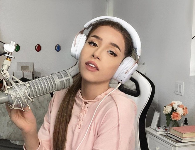 Nữ streamer 17 triệu followers gây khó hiểu khi nài nỉ dân mạng hủy bớt lượt theo dõi - ảnh 2