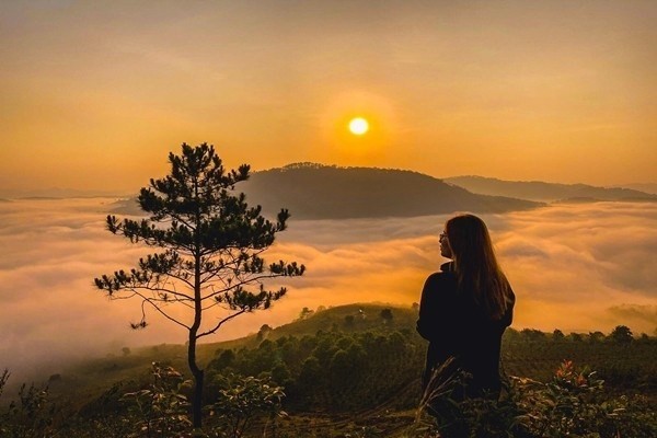 View