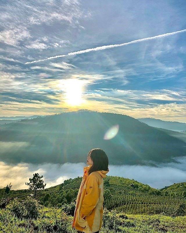 View