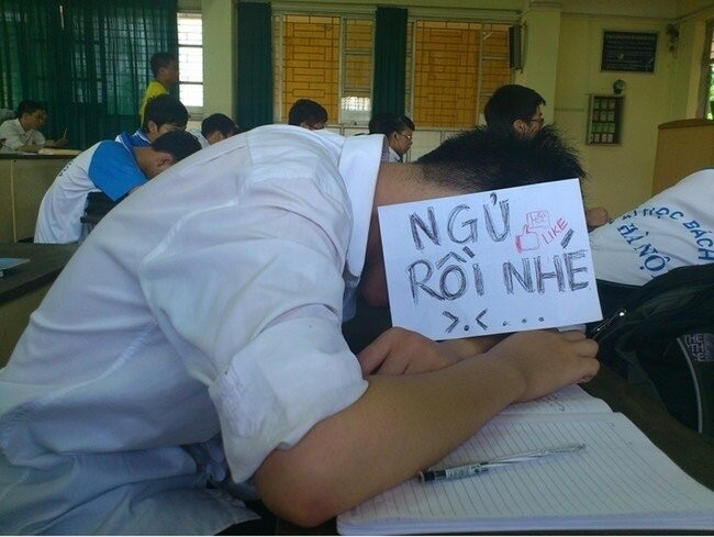 Loạt tư thế ngủ gật