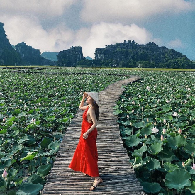 Đẹp lụi tim con đường gỗ giữa cánh đồng sen đang nở rộ ở Hang Múa (Ninh Bình) - ảnh 5