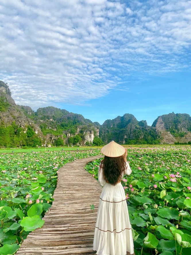 Đẹp lụi tim con đường gỗ giữa cánh đồng sen đang nở rộ ở Hang Múa (Ninh Bình) - ảnh 7