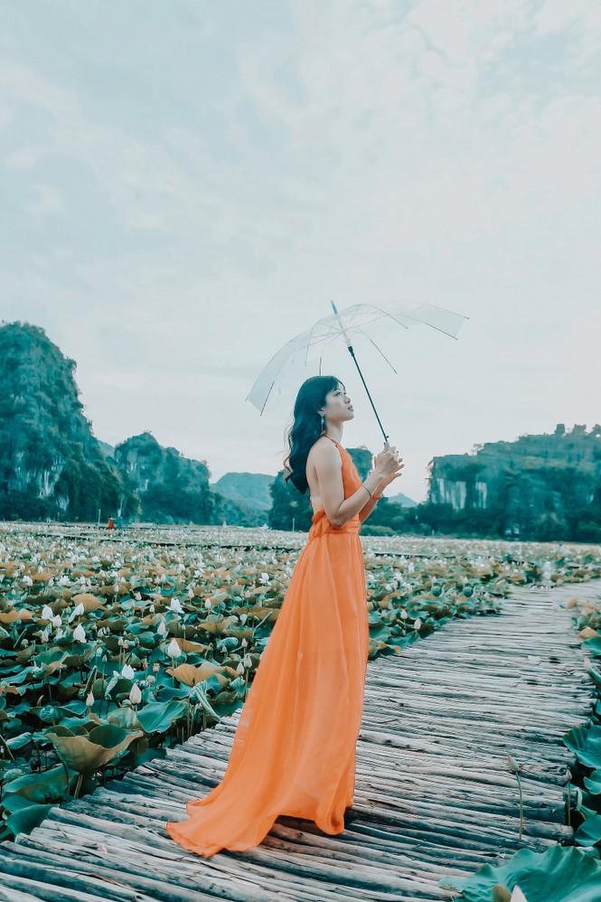 Đẹp lụi tim con đường gỗ giữa cánh đồng sen đang nở rộ ở Hang Múa (Ninh Bình) - ảnh 1