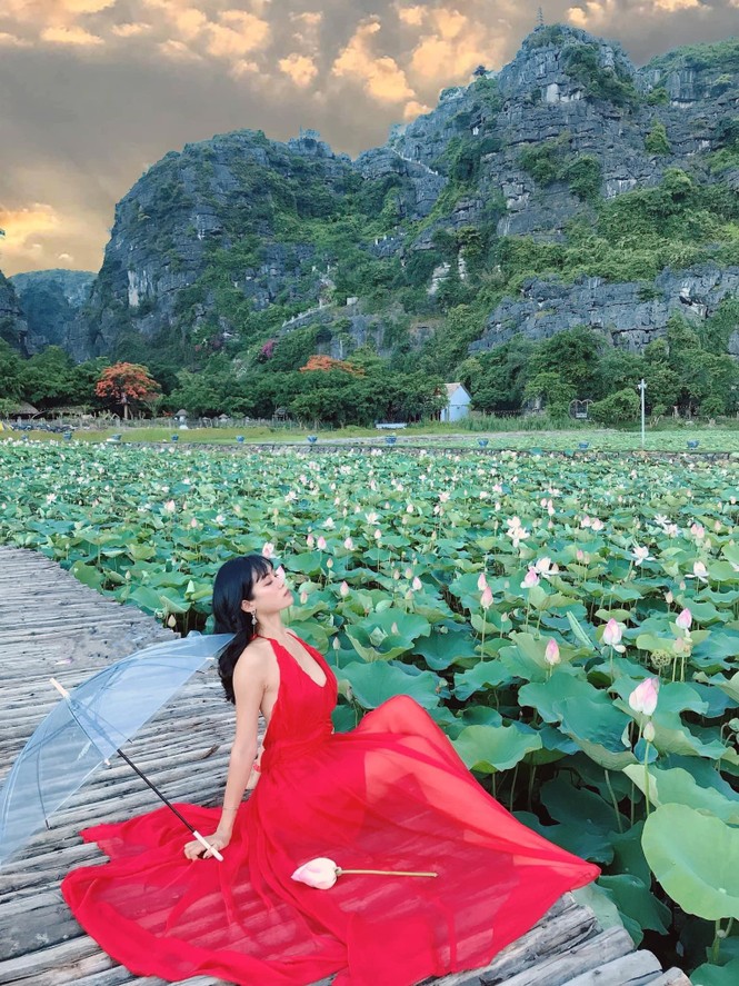 Đẹp lụi tim con đường gỗ giữa cánh đồng sen đang nở rộ ở Hang Múa (Ninh Bình) - ảnh 2