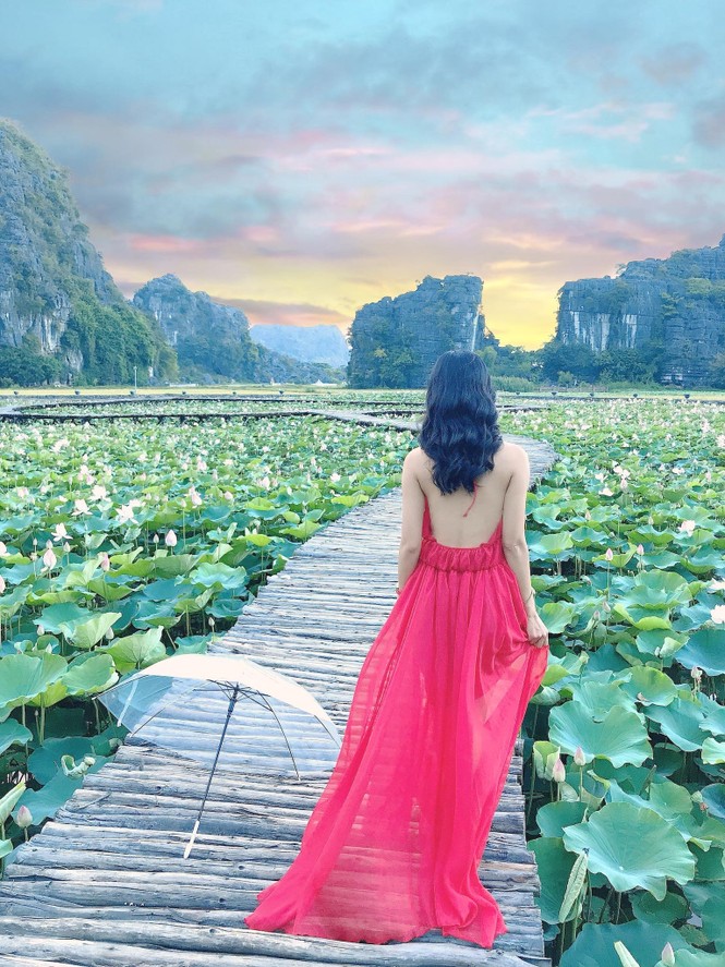 Đẹp lụi tim con đường gỗ giữa cánh đồng sen đang nở rộ ở Hang Múa (Ninh Bình) - ảnh 3