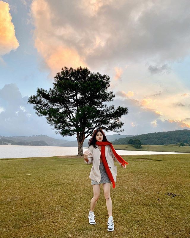 Dân mạng tiếp tục