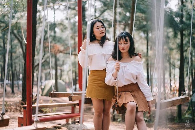Ghé thăm rừng thông lớn nhất Hà Nội, cực hợp “đi đu đưa” với hội cạ cứng mùa Hè này - ảnh 6