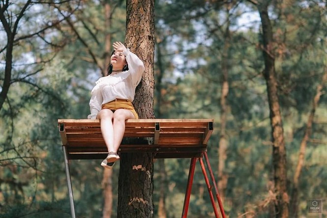 Ghé thăm rừng thông lớn nhất Hà Nội, cực hợp “đi đu đưa” với hội cạ cứng mùa Hè này - ảnh 7