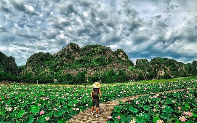 Ngỡ ngàng hồ sen nở rộ giữa Thu ở Hang Múa (Ninh Bình), giới trẻ tha hồ chụp ảnh