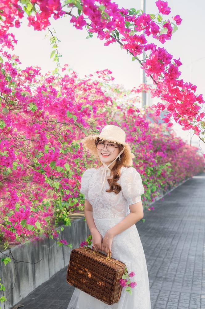 Hà Nội: Cây cầu hoa giấy bất ngờ bung nở trở lại, check-in