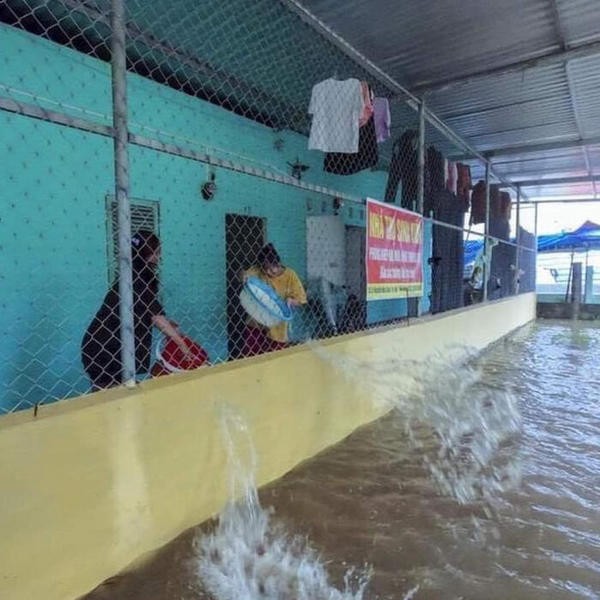 Sinh viên miền Trung khổ sở mùa mưa lũ: Gió quật bay cả mái nhà,