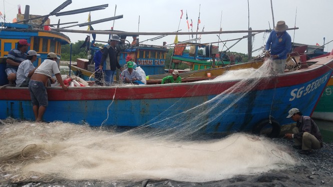 TPHCM ra công điện khẩn cấm tàu thuyền ra khơi do bão số 14 - ảnh 2