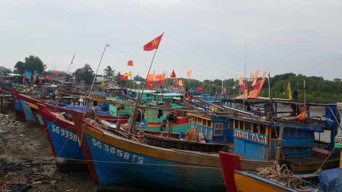 TPHCM ra công điện khẩn cấm tàu thuyền ra khơi do bão số 14 - ảnh 1