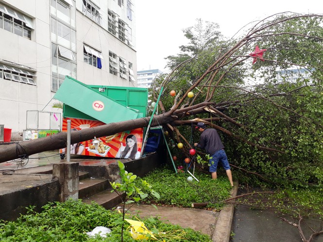 Ký túc xá hiện đại nhất Việt Nam tan hoang sau một trận mưa - ảnh 8