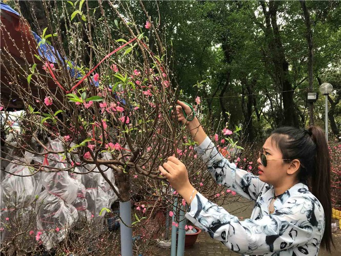 Đào Hà Nội giá rẻ rợp chợ hoa Sài Gòn ngày 29 Tết - ảnh 11