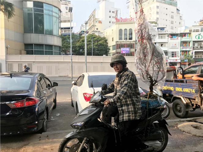 Đào Hà Nội giá rẻ rợp chợ hoa Sài Gòn ngày 29 Tết - ảnh 16