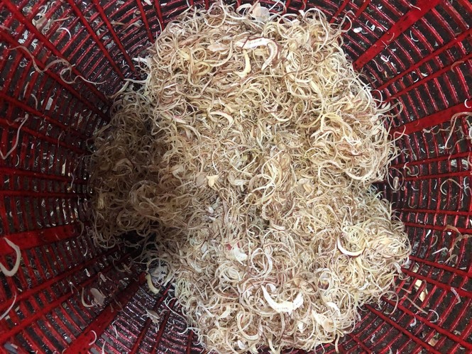 Phát hiện gần 2 tấn ngó sen, hoa chuối bào 'ngậm thuốc độc' - ảnh 1