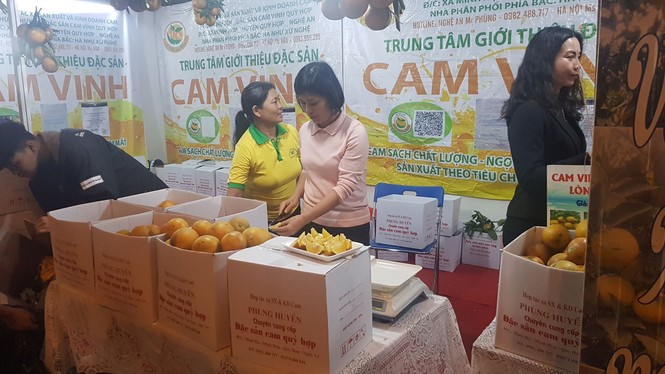Cam Vinh - ảnh 1