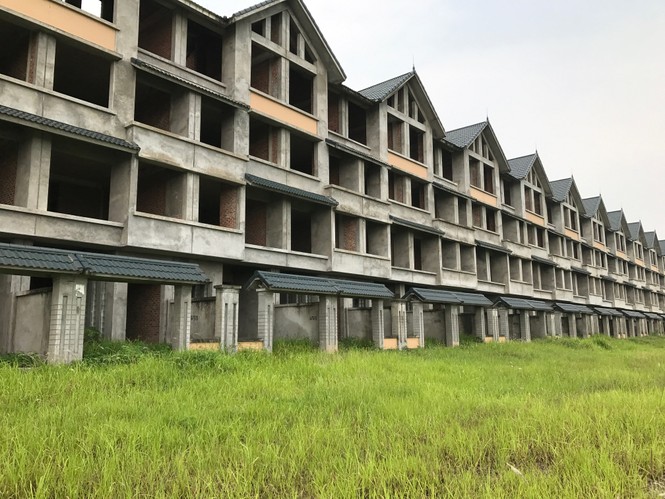 Thành lập Ban chỉ đạo xây dựng Dự án Luật Đất đai - ảnh 1
