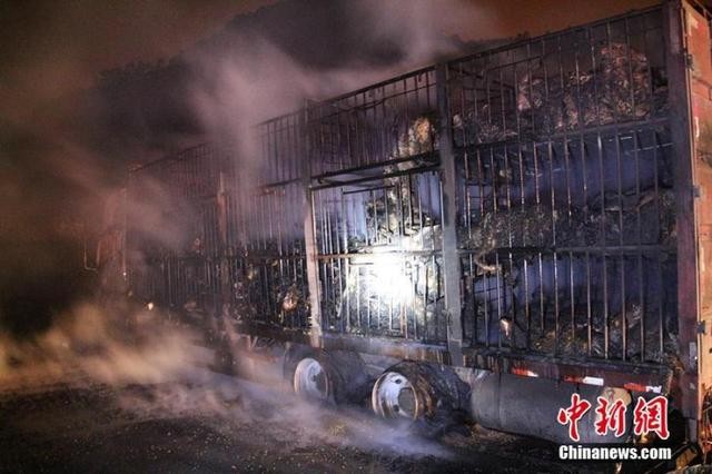 Xe tải bất ngờ bốc cháy, 300 chú dê hóa... dê thui - ảnh 5
