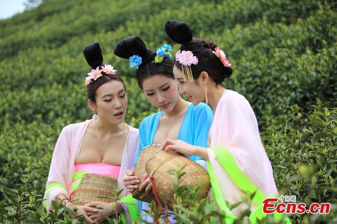 Mỹ nữ Trung Quốc diện y phục cung đình lên núi hái chè - ảnh 2