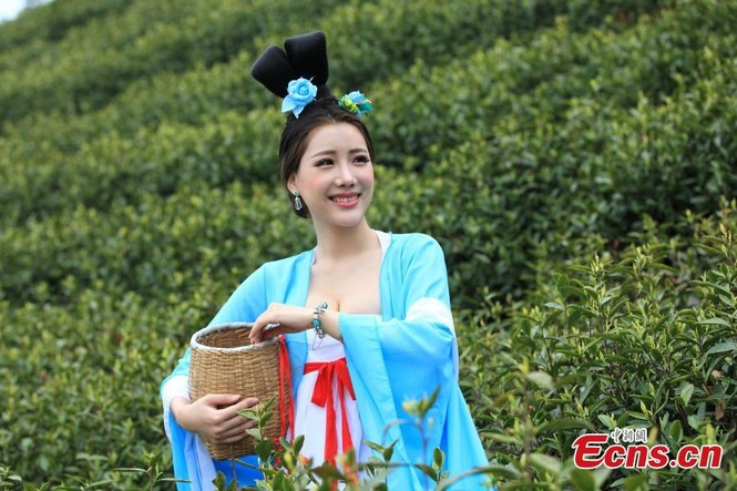 Mỹ nữ Trung Quốc diện y phục cung đình lên núi hái chè - ảnh 3