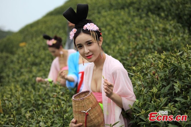Mỹ nữ Trung Quốc diện y phục cung đình lên núi hái chè - ảnh 4