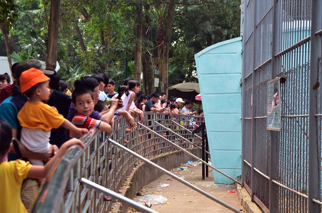 Bất chấp nắng nóng, hàng nghìn người đổ về khu vui chơi ngày nghỉ lễ - ảnh 11