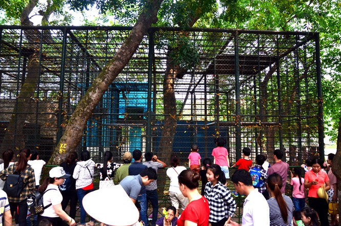 Bất chấp nắng nóng, hàng nghìn người đổ về khu vui chơi ngày nghỉ lễ - ảnh 14