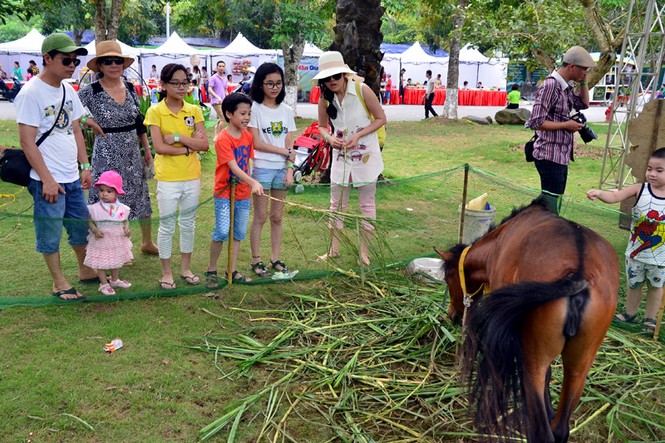 Bất chấp nắng nóng, hàng nghìn người đổ về khu vui chơi ngày nghỉ lễ - ảnh 6