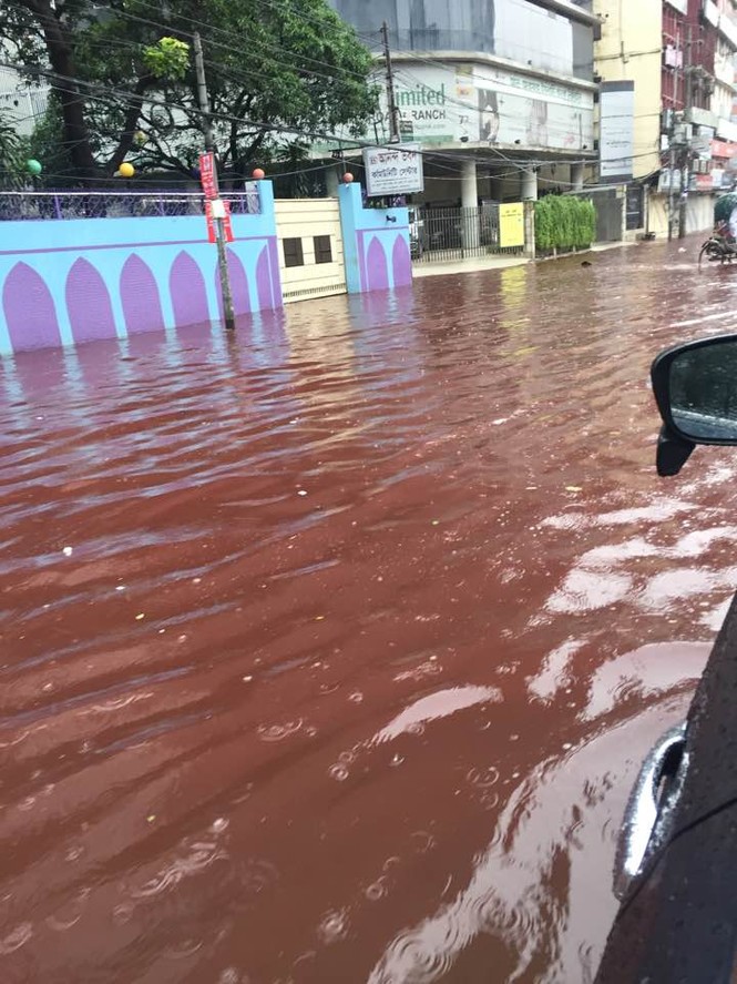 Bangladesh: Đường phố ngập trong máu sau lễ hội hiến tế động vật - ảnh 7