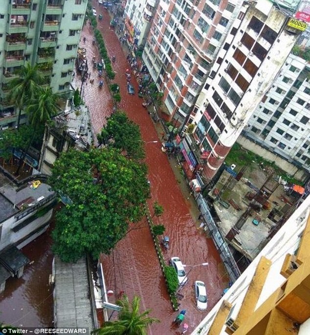 Bangladesh: Đường phố ngập trong máu sau lễ hội hiến tế động vật - ảnh 1