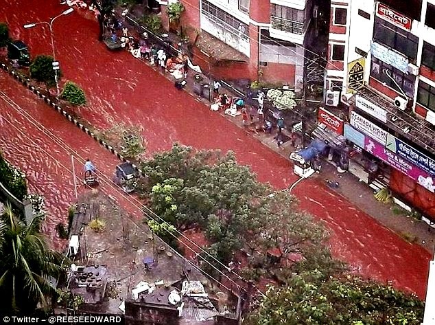 Bangladesh: Đường phố ngập trong máu sau lễ hội hiến tế động vật - ảnh 2
