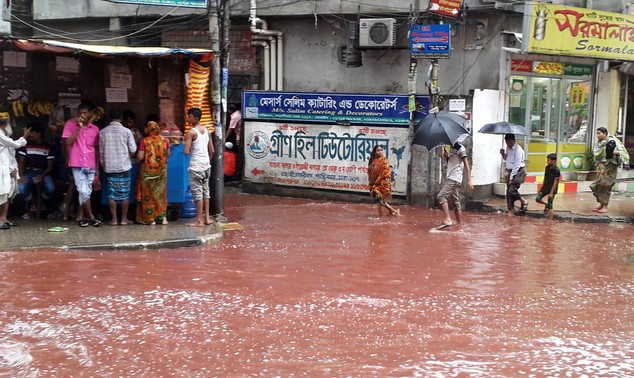 Bangladesh: Đường phố ngập trong máu sau lễ hội hiến tế động vật - ảnh 3