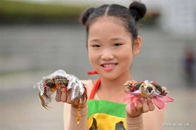 Nông dân tổ chức show thời trang cho... cua đồng - ảnh 1
