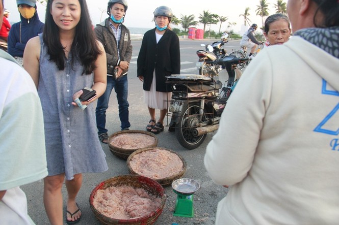 Ngư dân Đà Nẵng kiếm bạc triệu mỗi ngày từ ruốc - ảnh 4