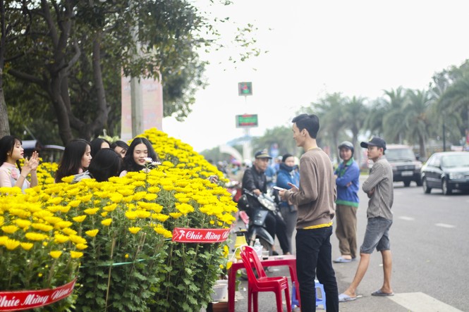 Người dân nô nức đi chợ hoa Tết - ảnh 6