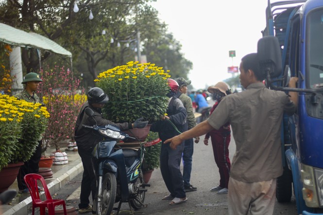 Người dân nô nức đi chợ hoa Tết - ảnh 3