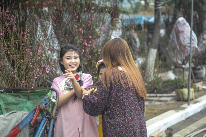Người dân nô nức đi chợ hoa Tết - ảnh 9