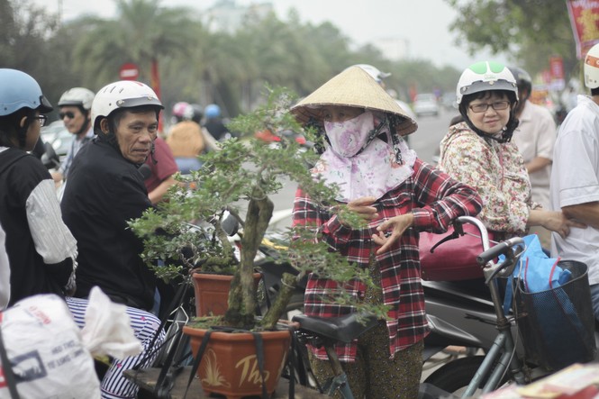 Người dân nô nức đi chợ hoa Tết - ảnh 4