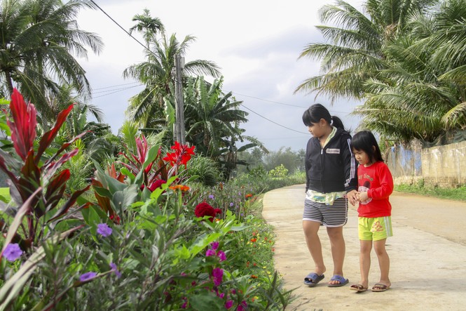 “Thảm hoa” những con đường quê! - ảnh 6
