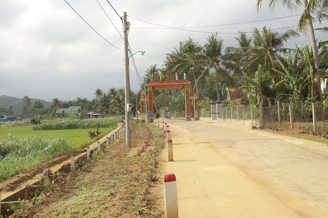 “Thảm hoa” những con đường quê! - ảnh 2